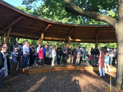 APA-CMS & ILASLA Networked Among the Trees on 6/13/19