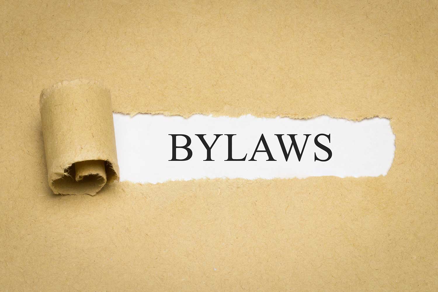 The CMS Bylaws Update is ON the Ballot